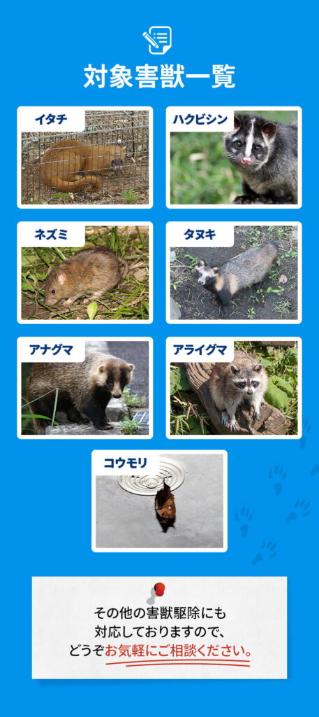 対象害獣一覧のリスト画像。イタチ、ハクビシン、ネズミ、タヌキ、アナグマ、アライグマ、コウモリの各写真と名前。その他の害獣駆除も相談可能である旨の案内。